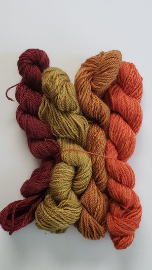 JBA - PRAIRIES -  4 Wool Mini Skeins - DK WT 100 grams -  B3