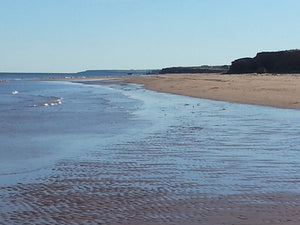  Our Island Cradled by the Sea 