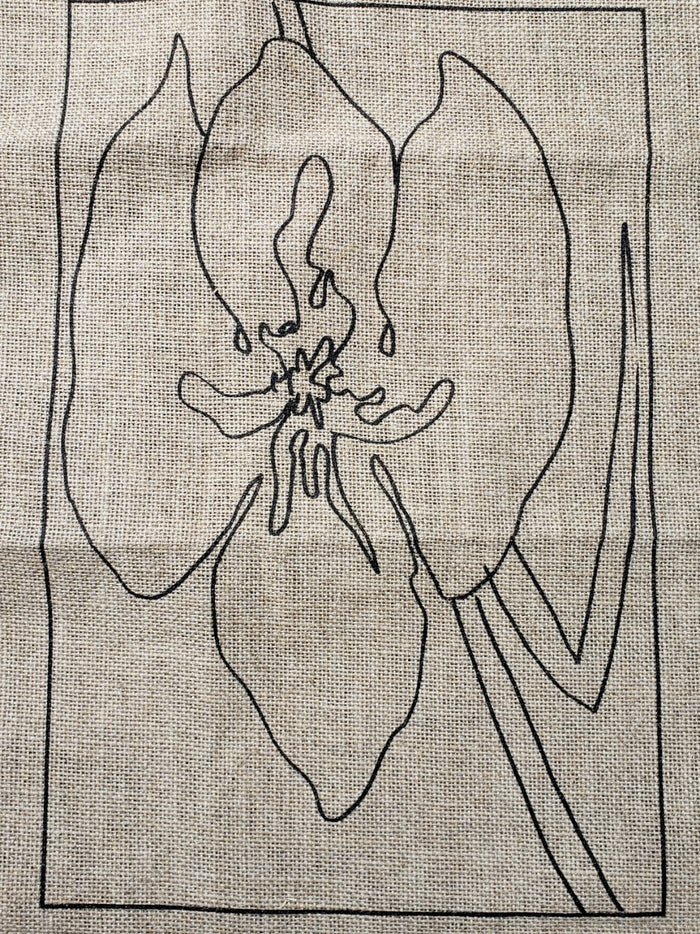 IRIS -  Rug Hooking Pattern on Linen - Deanne Fitzpatrick -07-23-23