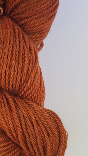 Back Country - PUMPKIN - Hand Dyed Chunky Yarn 4 ounces/125g