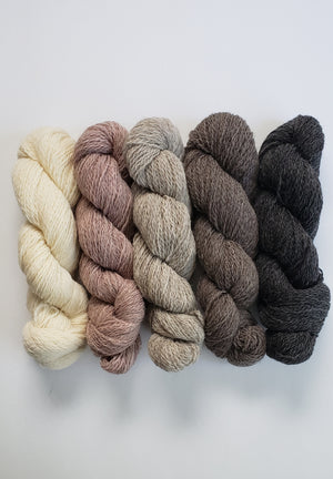 JBA - ROSEDALE -   100% Wool Skeins - Fingering  WT 30 grams -  B3