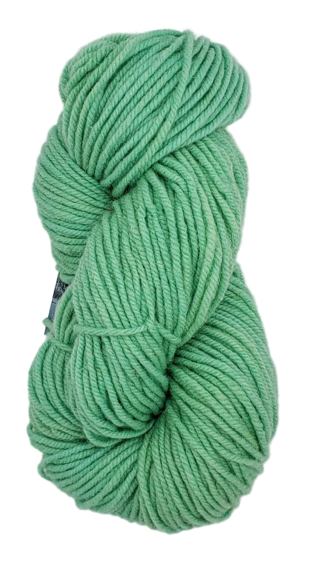 Wonder Woolen - MINT GREEN - OOAK - Fleece Artist Hand Dyed Yarn 4 ounces/115g