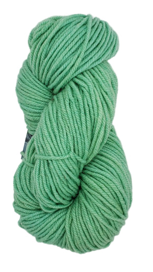 Wonder Woolen - MINT GREEN - OOAK - Fleece Artist Hand Dyed Yarn 4 ounces/115g