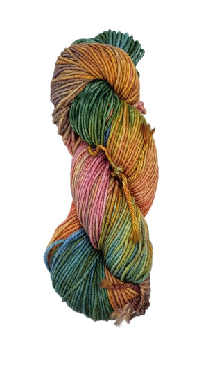 LL- RAINBOW - Eco-Processed Worsted - Lichen and Lace - Merino