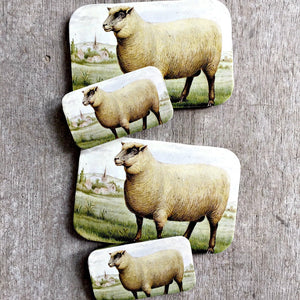 Firefly Notes Resin Tin - SHEEP - Small - Notion/Pill Tin