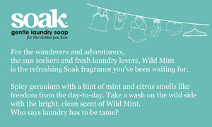 SOAK WASH  -  WILD MINT - 12 oz - 375 ml / 75 washes