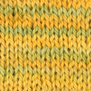 Wonder Woolen - LARCH - Fleece Artist Hand Dyed Yarn - Shades of Yellow-Green