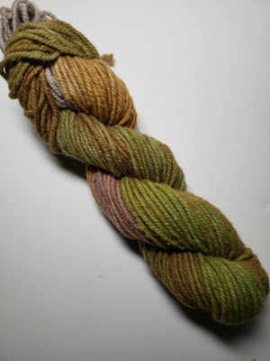 Wonder Woolen - BOREAL -  Fleece Artist Hand Dyed Yarn - Shades of Green/Brown