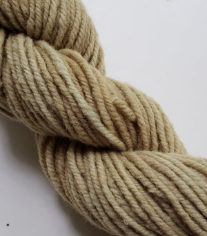 Wonder Woolen - ENDIVE - Fleece Artist Hand Dyed Yarn - Shades of Light Green