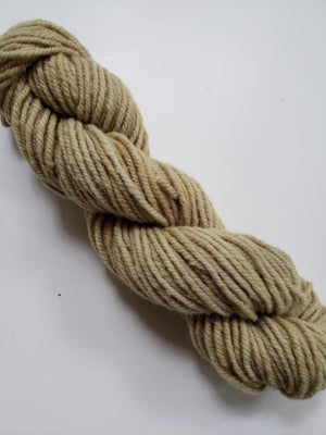 Wonder Woolen - ENDIVE - Fleece Artist Hand Dyed Yarn - Shades of Light Green