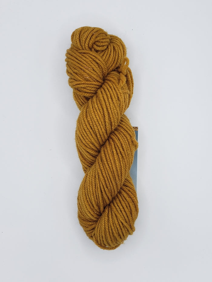 Wonder Woolen - HARVEST - Fleece Artist Hand Dyed Yarn OOAK - ARAN