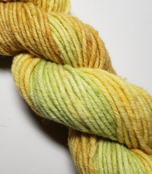 Wonder Woolen - LARCH - Fleece Artist Hand Dyed Yarn - Shades of Yellow-Green