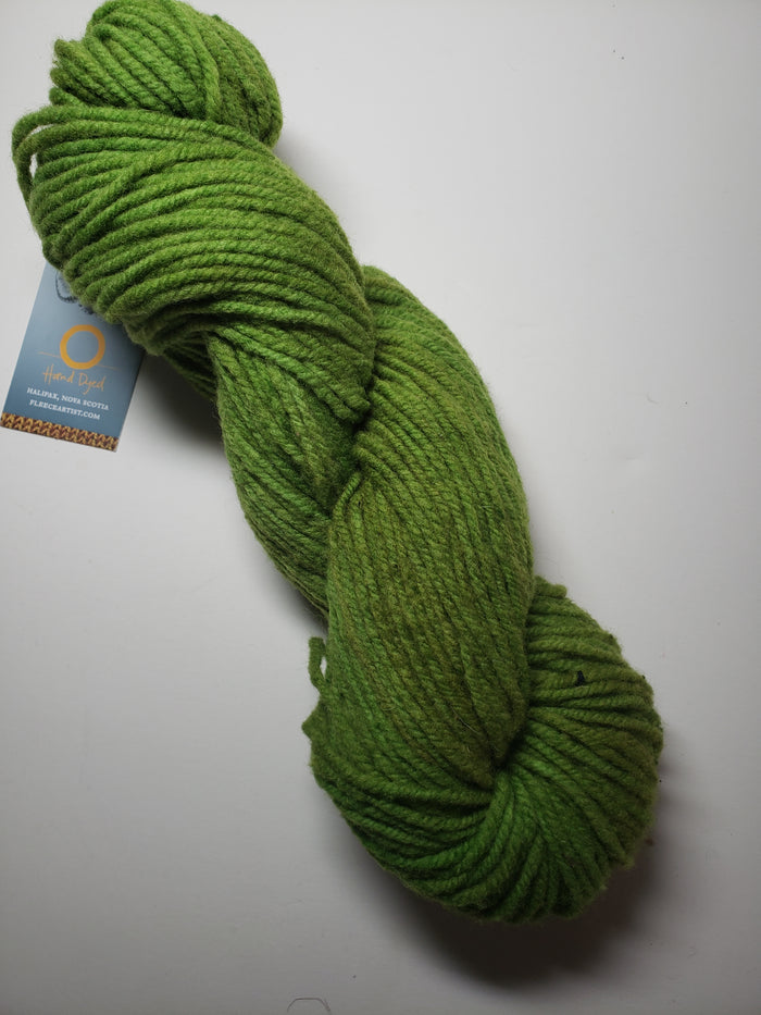 Wonder Woolen - MEADOW GREEN - OOAK Fleece Artist Hand Dyed Yarn 4 ounces/115g