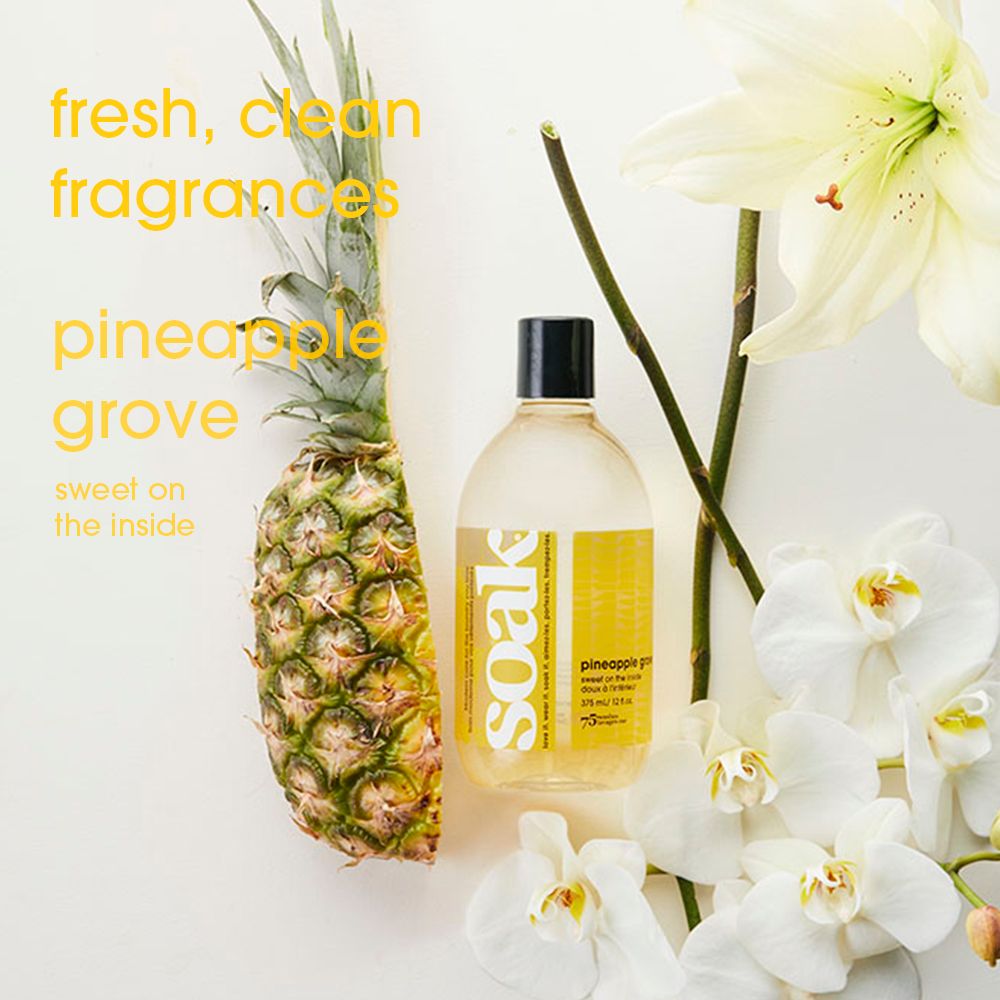 SOAK WASH  -  Pineapple Grove - Travel Size 90ml/3oz 18+ washes